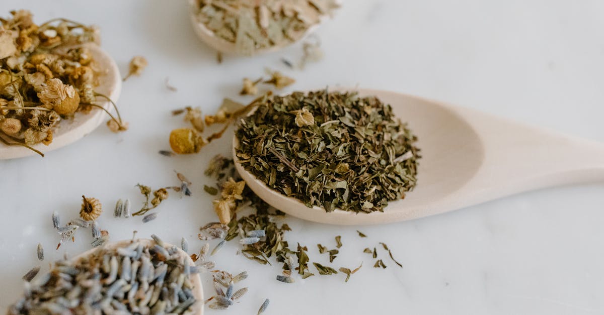 discover the power of natural remedies to enhance your well-being. explore effective herbal solutions, holistic treatments, and tips for using nature's gifts to promote health and healing, all in one comprehensive guide.