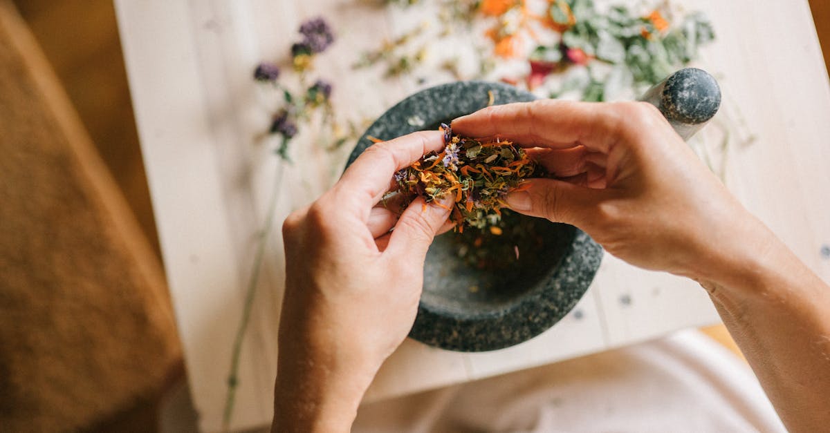 discover effective natural remedies to enhance your well-being and promote a healthy lifestyle. explore herbal solutions, essential oils, and holistic approaches to alleviate common ailments and improve your overall health naturally.