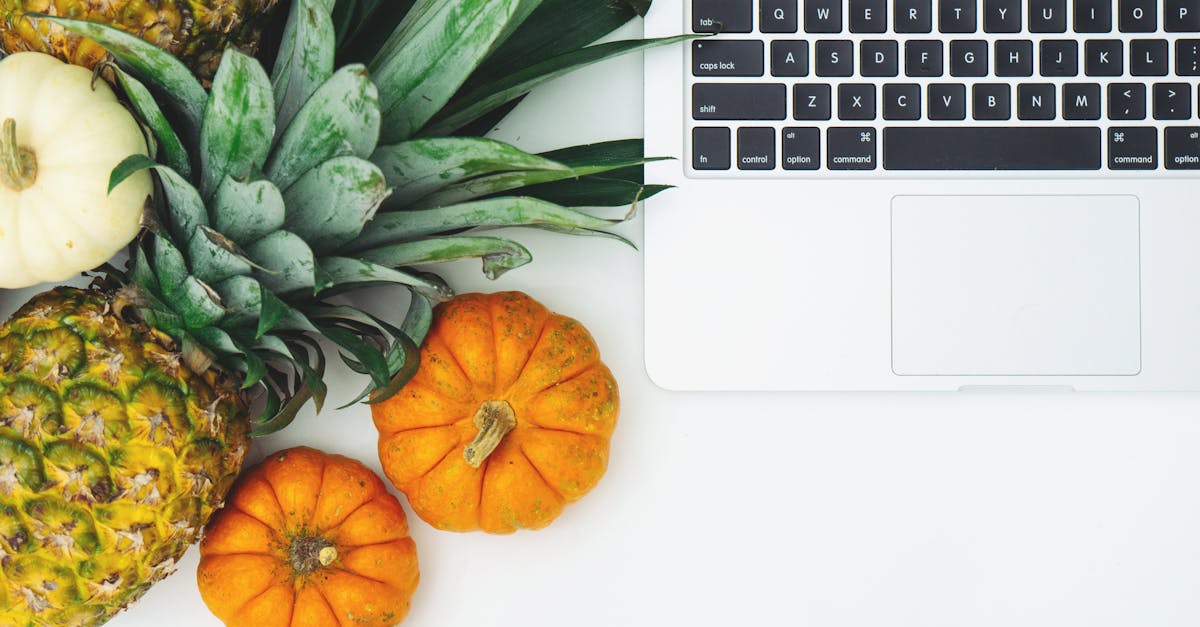 découvrez les principes essentiels de la nutrition pour mener une vie plus saine. explorez les régimes alimentaires équilibrés, la planification des repas et les bienfaits de divers nutriments pour améliorer votre bien-être.